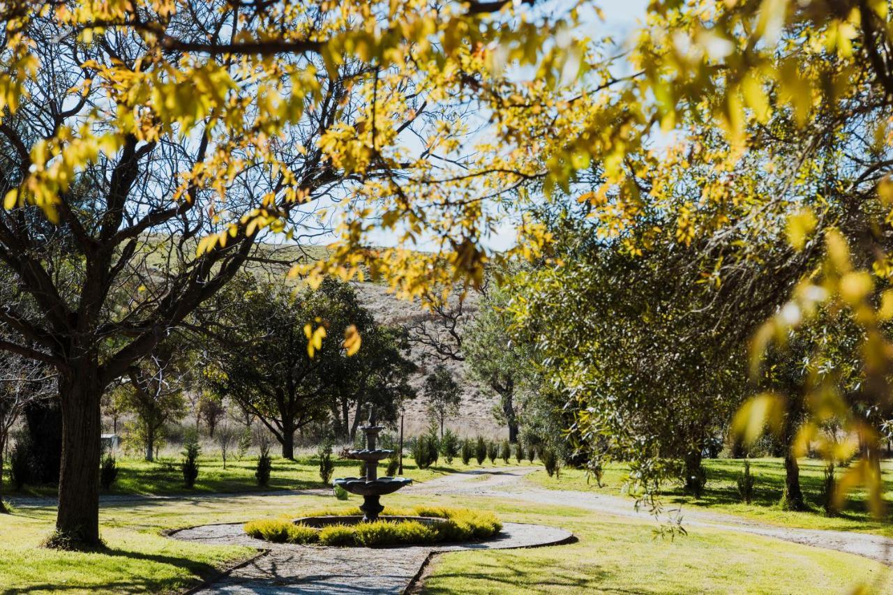 Enfield House Mudgee B&B 외부 사진